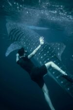 Close Encounter: Diving with a Whale Shark in the Deep Blue